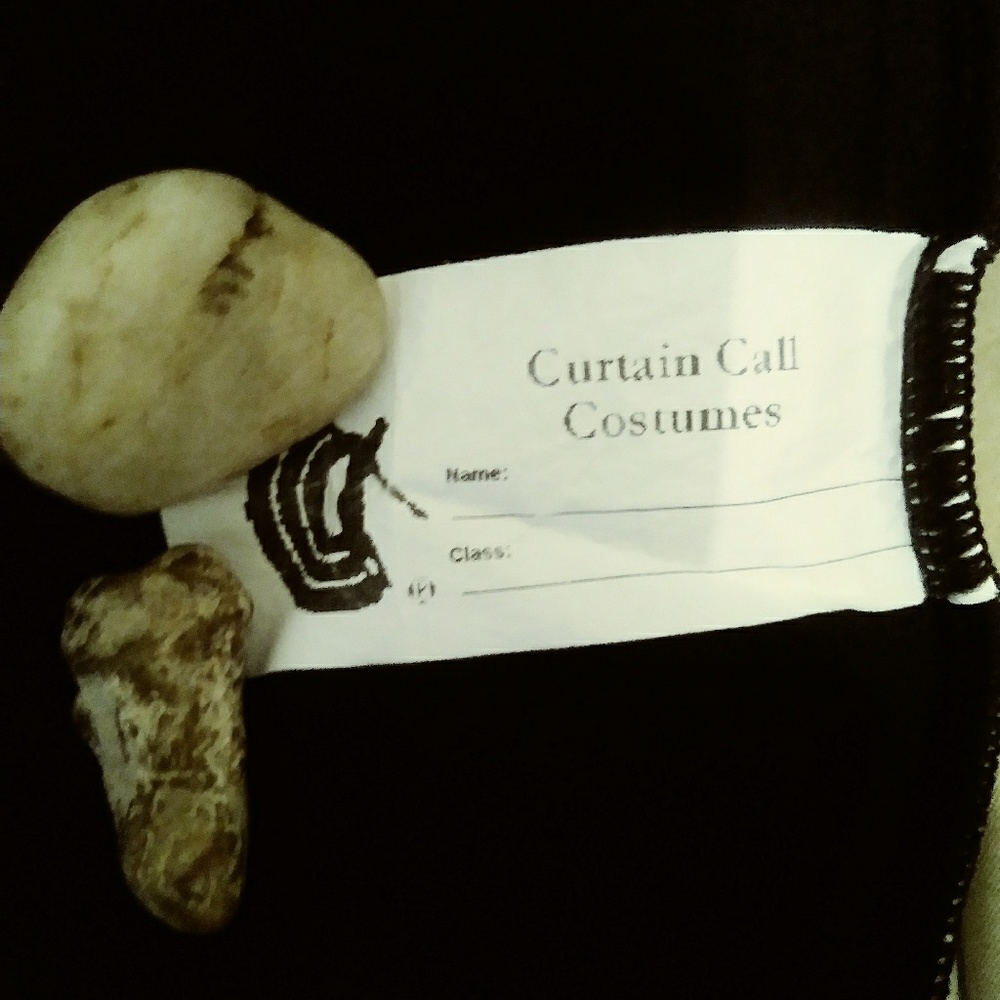 💅 5 for $25 💅 Black ballet costume Curtain Call - Picture 2 of 4